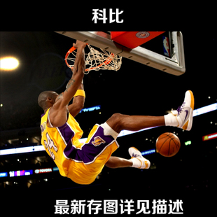 天津不动产查询证明